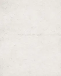 Paper Vintage Embossed Paper 36