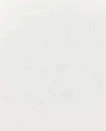 Paper Vintage Embossed Paper 37