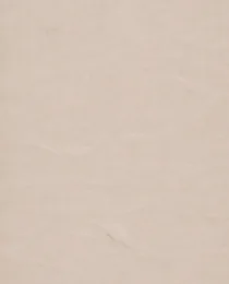 Paper Vintage Embossed Paper 5