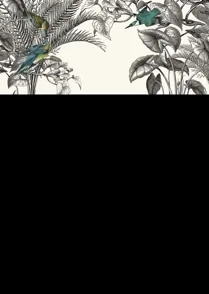 Paradisio