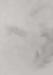 Plume Noir
