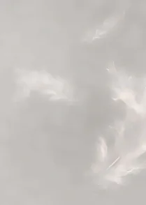 Plume