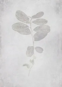 Pressed 01