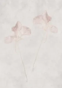 Pressed 02
