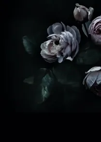 Silk
