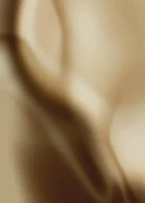 Silky Latte