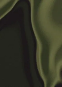 Silky Olive