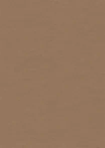 Sketch Tan