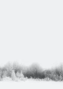 Snowfall 01