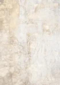 Stone 01