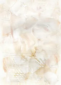 Studio Series 27