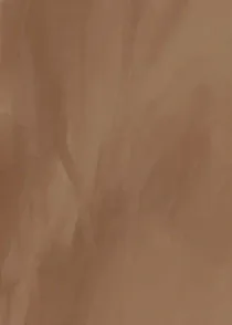 Studio Series 42