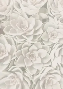 Succulent II