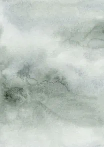 Terrain
