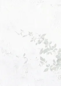 Vino Blanc