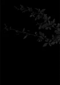 Vino Noir