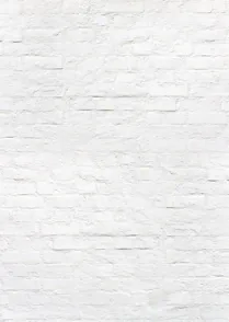 White Brick 02
